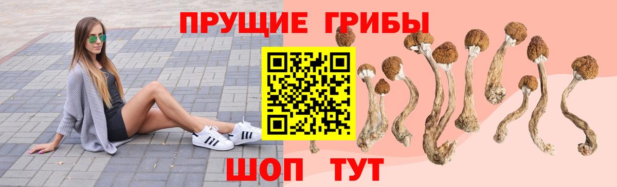Мытищи  Галлюциногенные грибы Magic Shrooms  Вход с VPN 